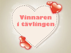 Vinnaren i Upplevelse.com-tävlingen