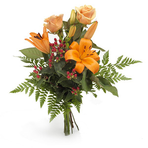 Krya på dig blomma Krya på dig blomma