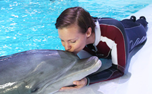 Simma med defliner - eller åtminstone närkontakt delfin